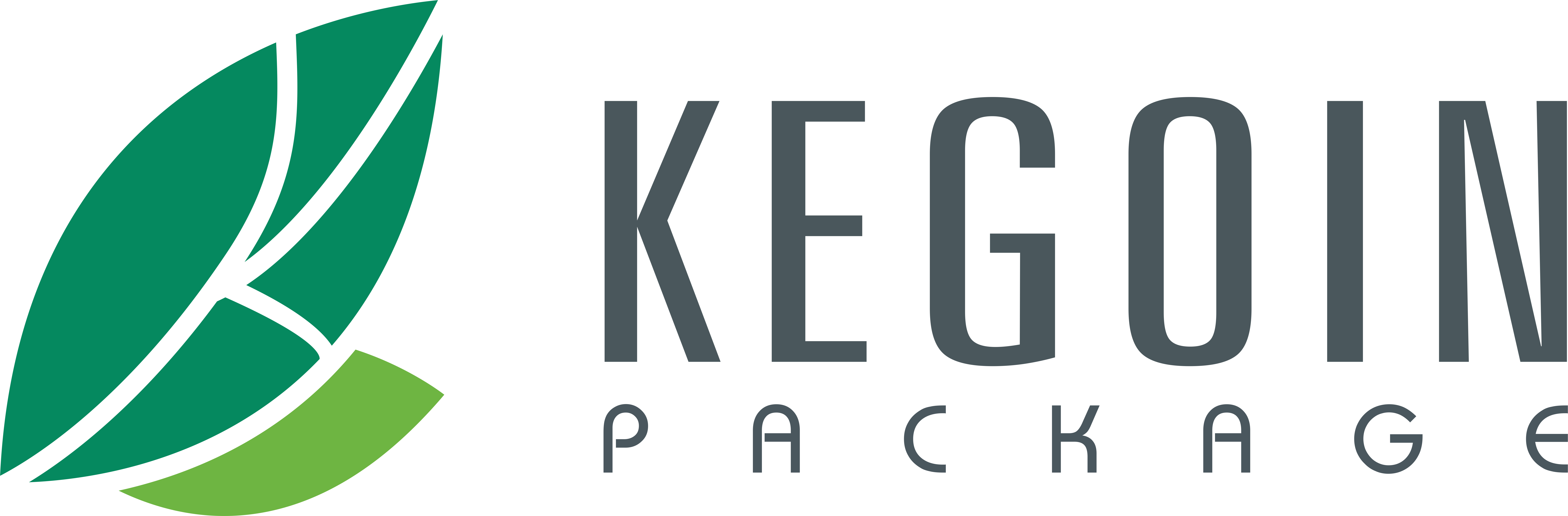 kegoin logo png